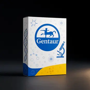 Gentaur Lind/Blue M CONSOLE PROG/TP 11